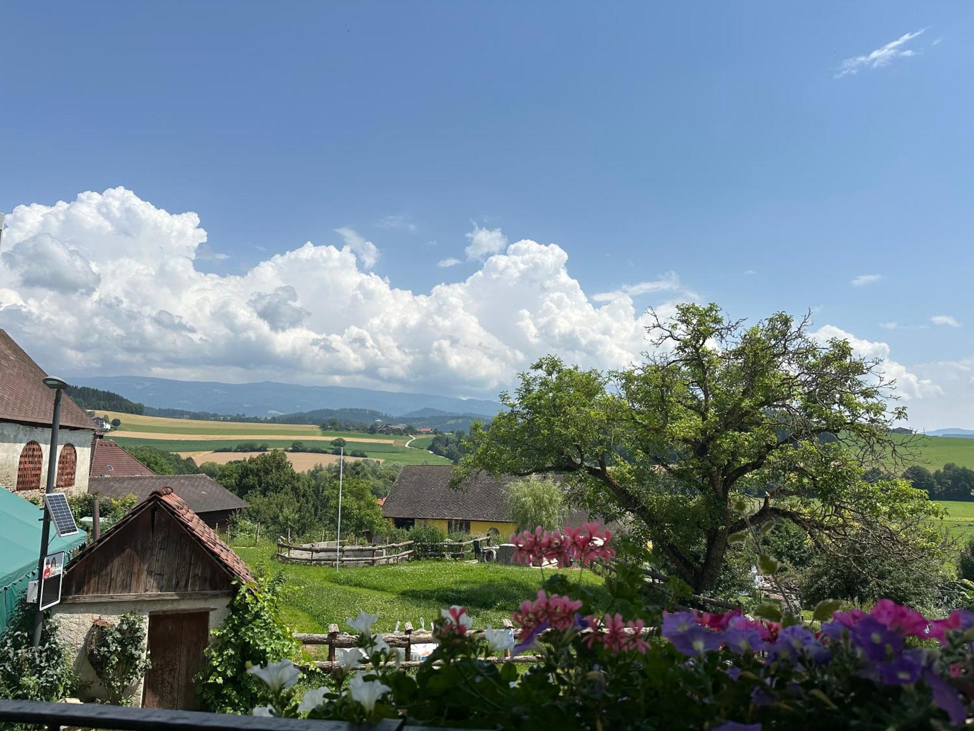 Gasthof Winkelwirt Althofen  Екстер'єр фото